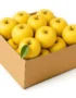 Apple Carton – Gold (Approx. 18kg