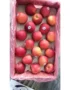 Apple Carton – Red Italian (Approx. 18kg)