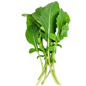 Arugula (Rocca)