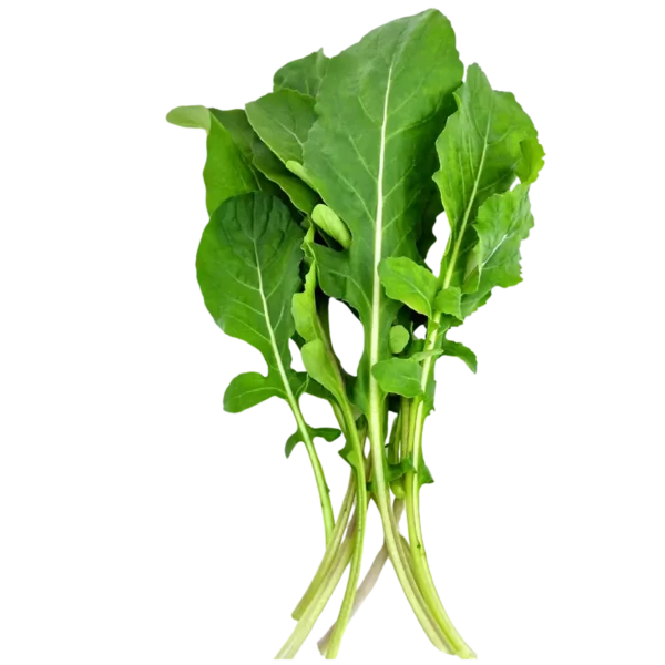 Arugula (Rocca)