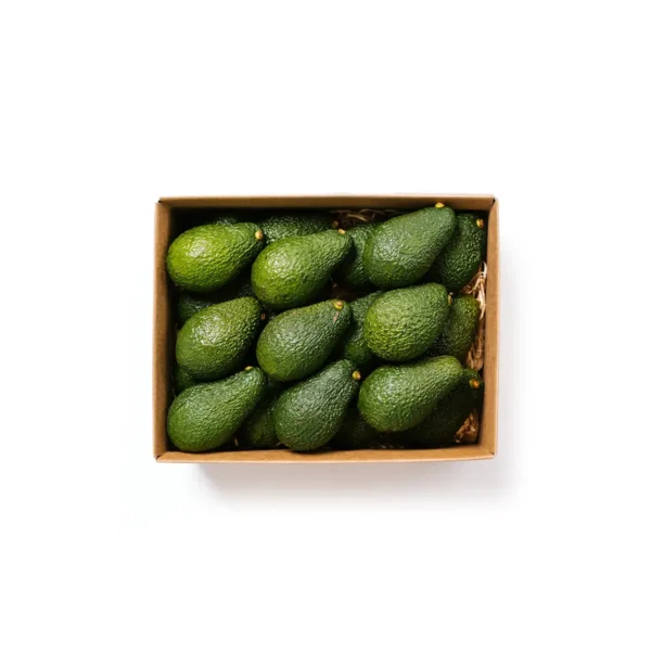 Avocado Box (Approx. 4kg)