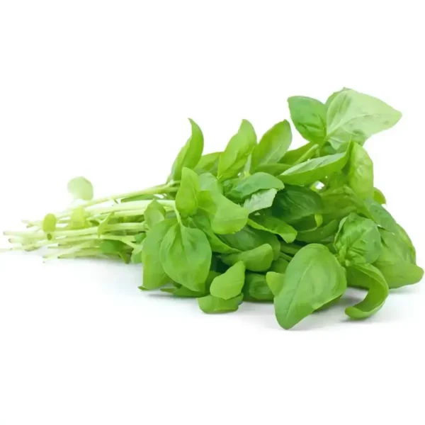 Basil (Fresh)