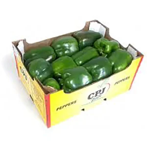 Bell Pepper Crate – Green (Approx. 8kg)