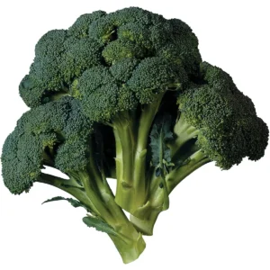 Broccoli