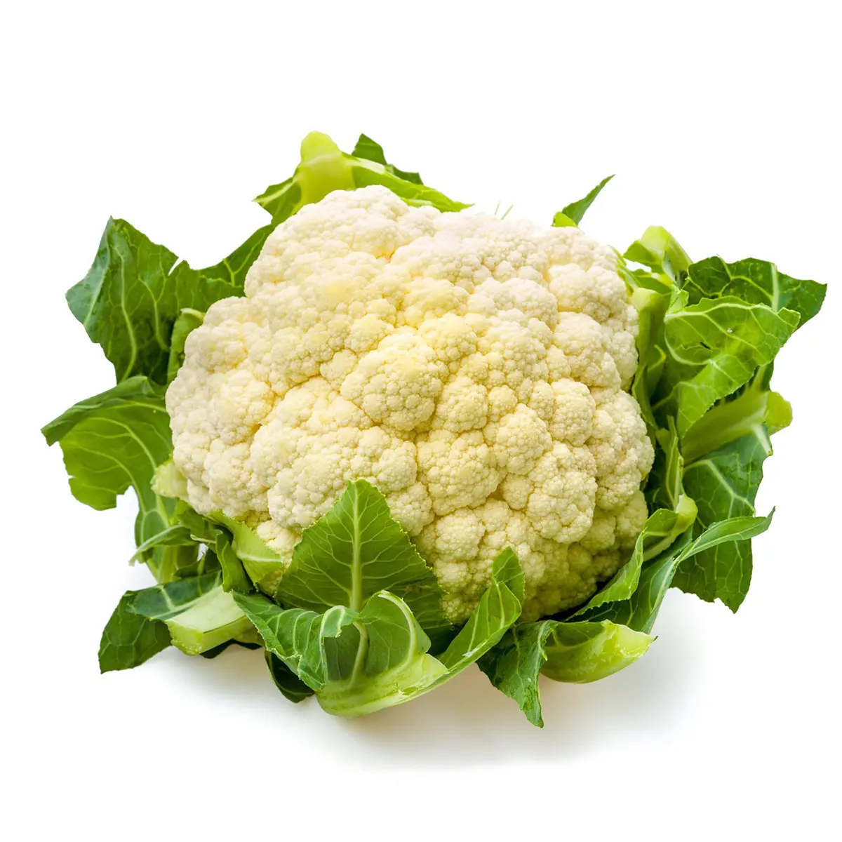 Cauliflower Cauliflower