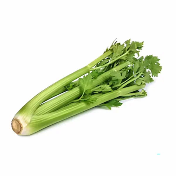 Celery