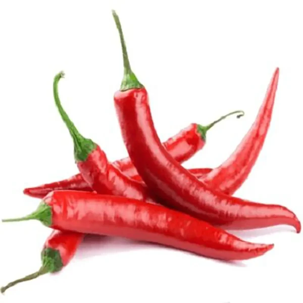 Chili Pepper (Red Hot)