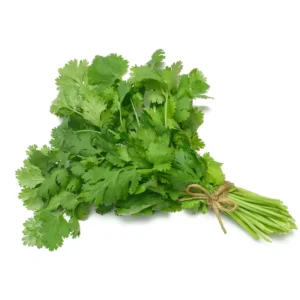 Coriander (Cilantro)