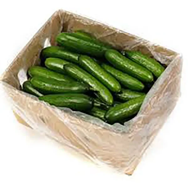Cucumber Crate (Approx. 15kg) copy