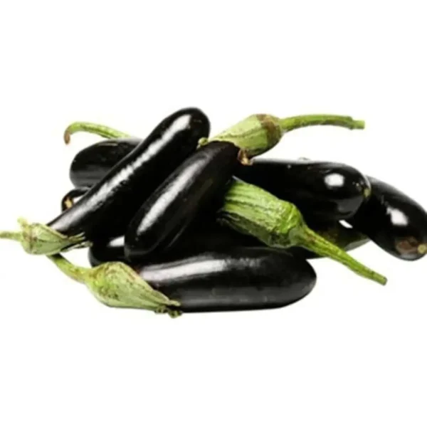 Eggplant (Black Long Bride)