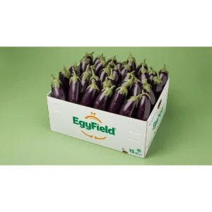 Eggplant Crate – Rummy (Approx. 10kg)