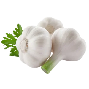 Garlic (Fresh Baladi)