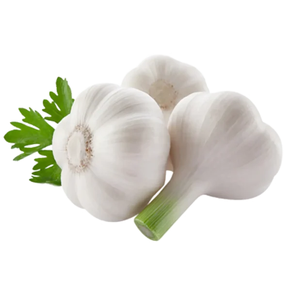 Garlic (Fresh Baladi)