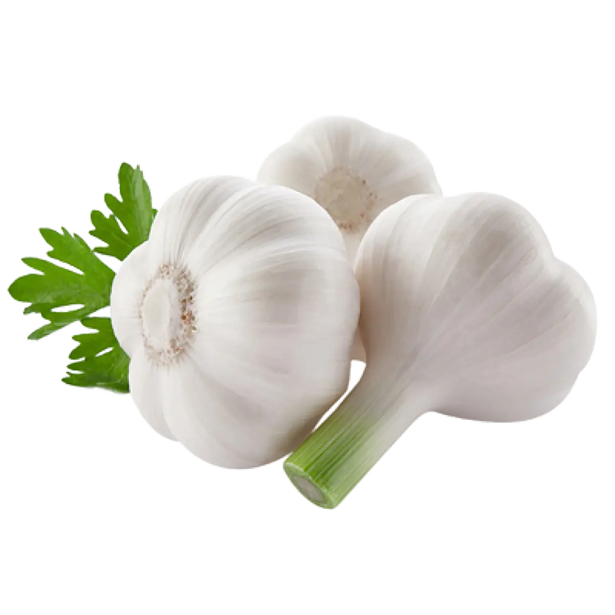 Garlic (Fresh Baladi) Garlic (Fresh Baladi)