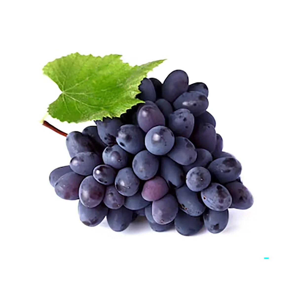 Grapes (Black) Grapes (Black)