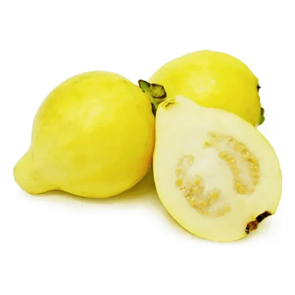 Guava