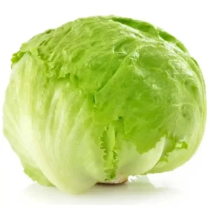 Iceberg Lettuce