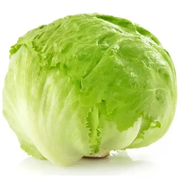 Iceberg Lettuce