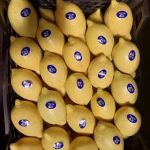 Lemon Crate (Italian Adalia) (Approx 10kg)