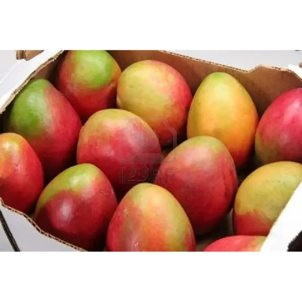 Mango Crate – Naomi (Approx. 8kg)