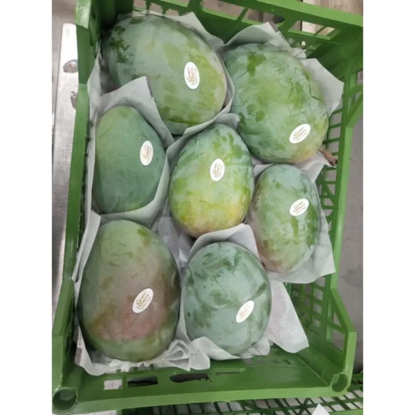 Mango Crate – Zebda (Approx. 10kg)