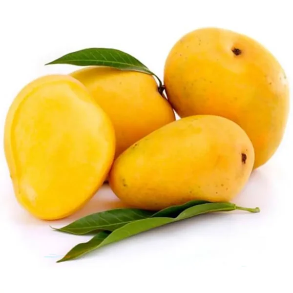 Mango (Succari)