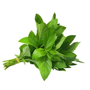 Mint (Fresh)