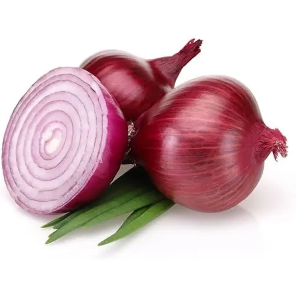 Onion (Red)