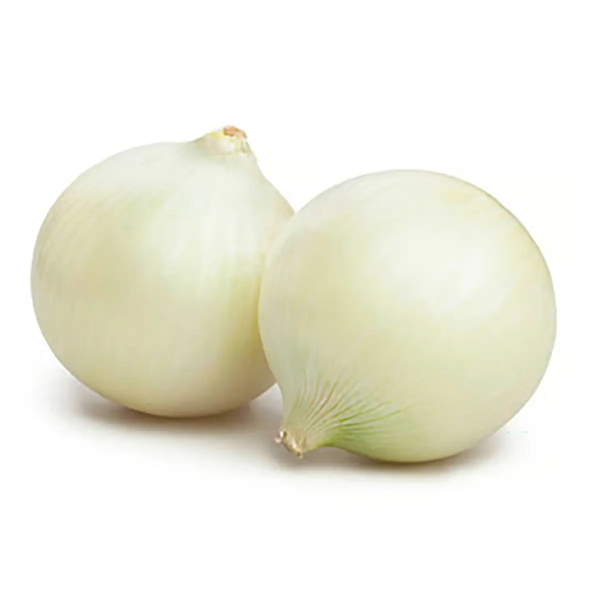 Onion (White) Onion (White)