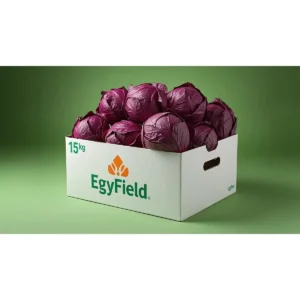 Red Cabbage Net (Approx. 10kg)