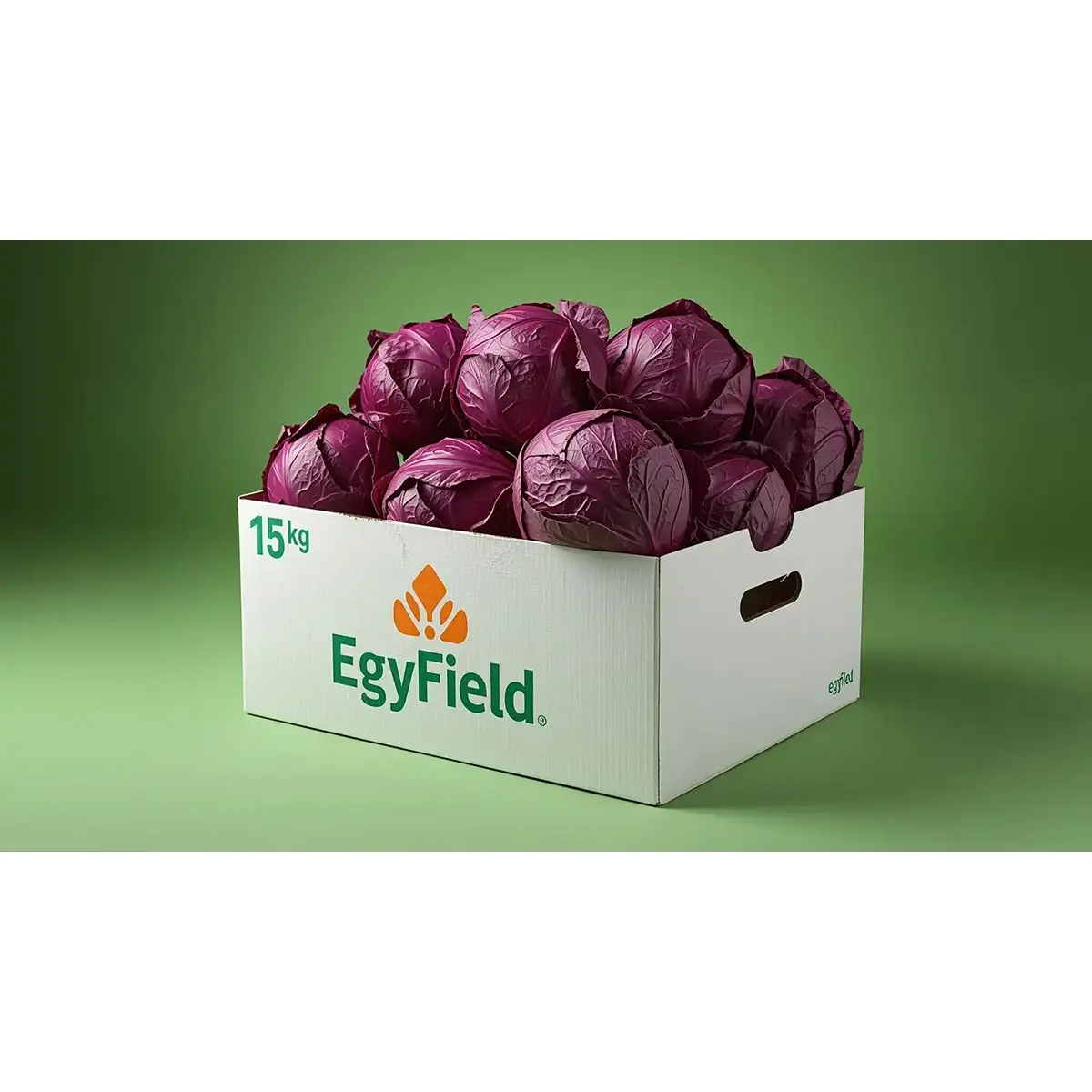 Red Cabbage Net (Approx. 10kg) Red Cabbage Net (Approx. 10kg)