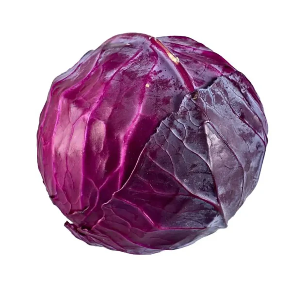 Red Cabbage