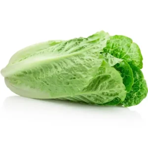 Romaine Lettuce (Baladi)