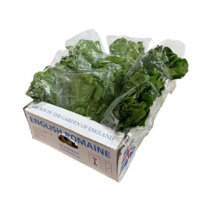 Romaine Lettuce Crate (Approx. 10kg)