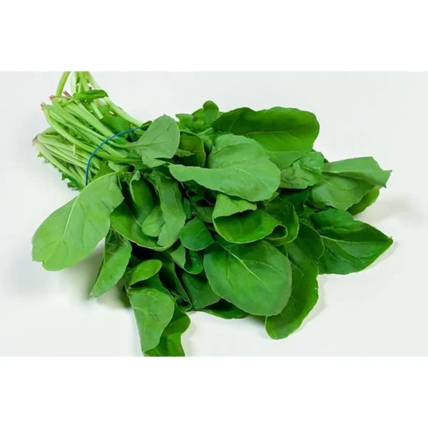 Spinach (Baladi)