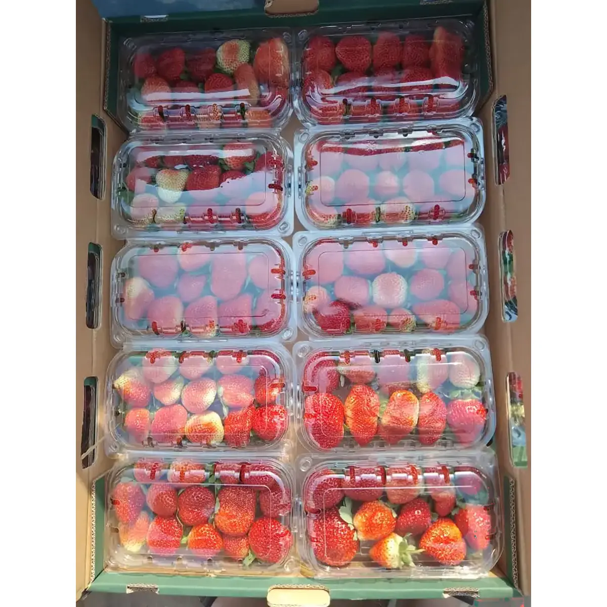 Strawberry Flat (10 Punnets) Strawberry Flat (10 Punnets)