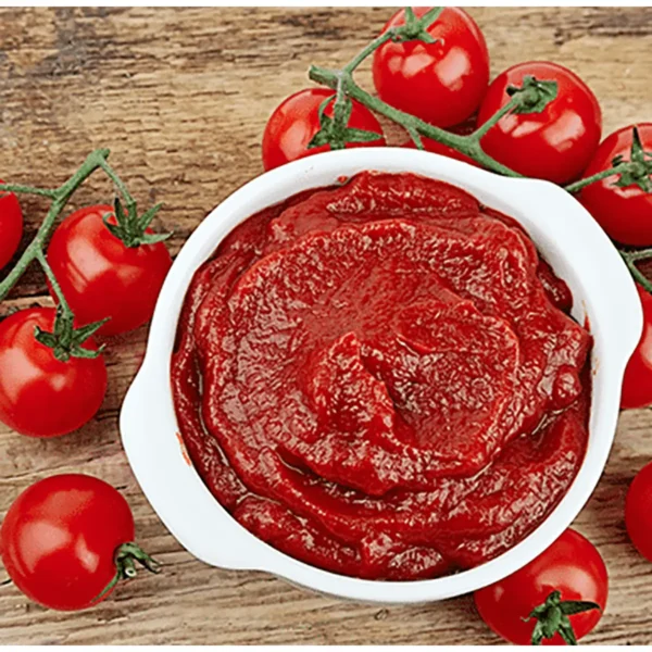 Tomato Paste Can (400g)