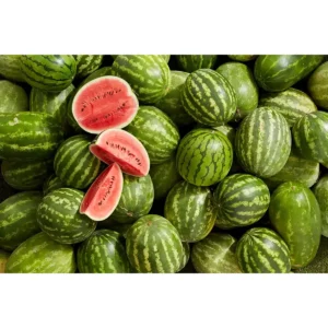 Watermelon Batch (5 Large Pieces)