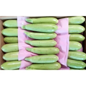 Zucchini Crate (Approx. 10kg)