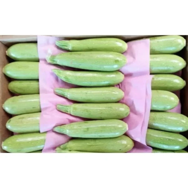 Zucchini Crate (Approx. 10kg)